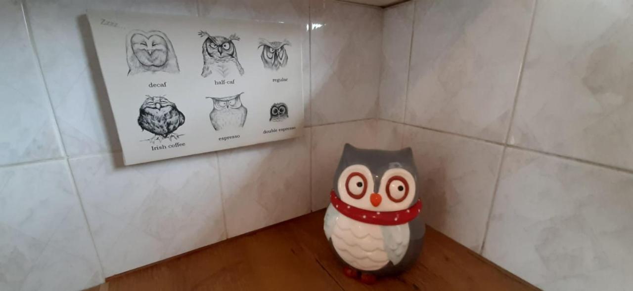 The Spotted Owl Apartment Cape Town