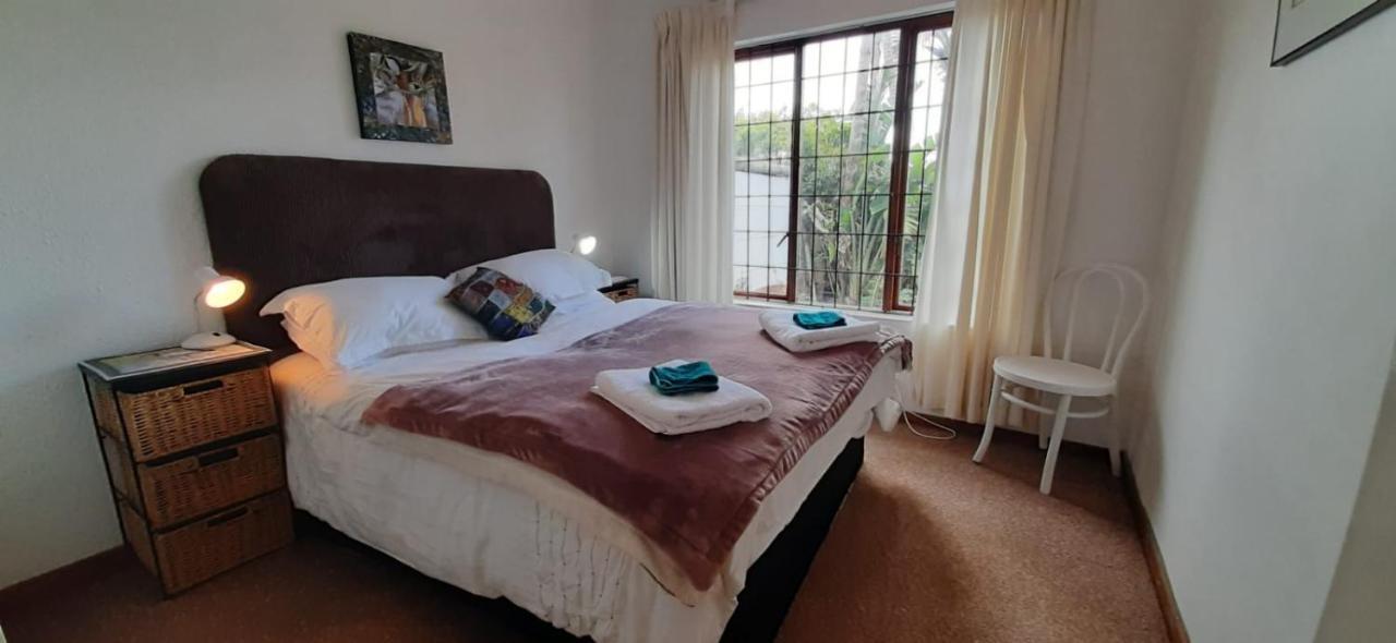 The Spotted Owl Cape Town