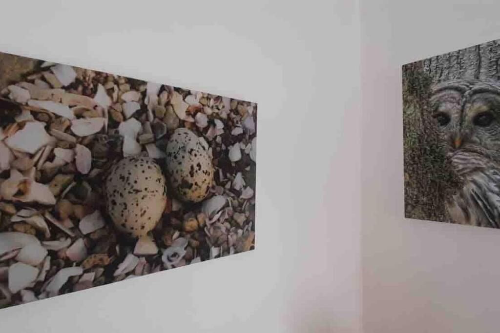 The Spotted Owl Apartment Cape Town