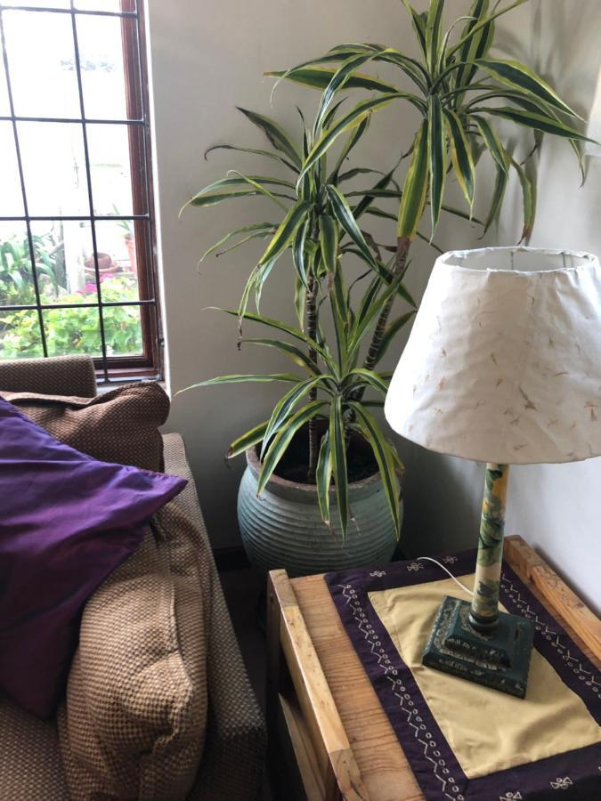 Apartment The Spotted Owl Cape Town