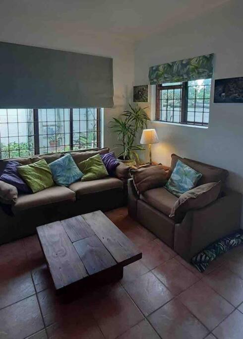 The Spotted Owl Apartment