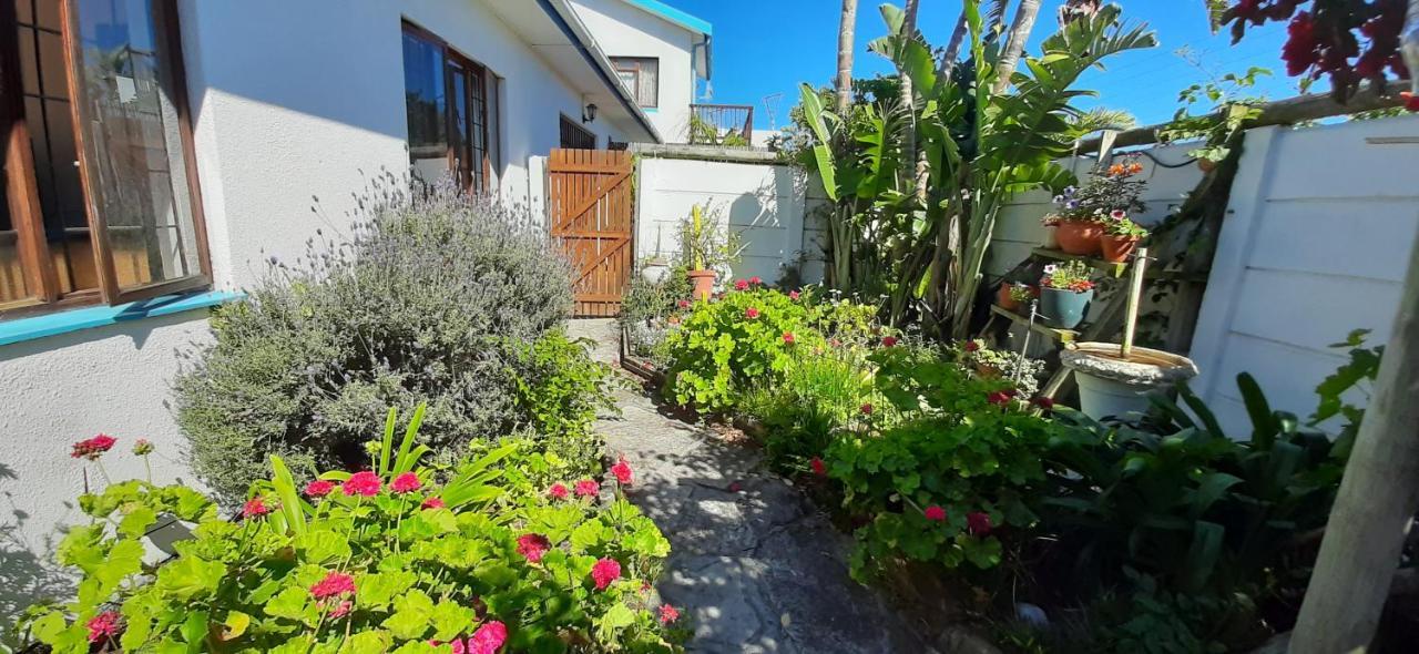 The Spotted Owl * Cape Town