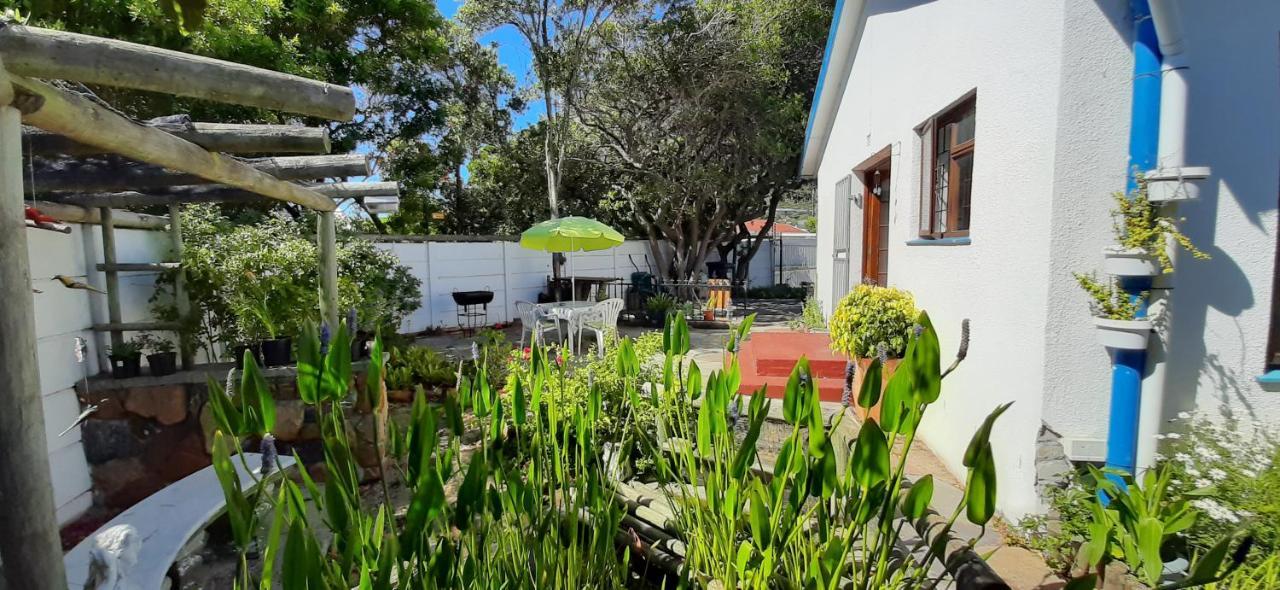 Apartment The Spotted Owl Cape Town
