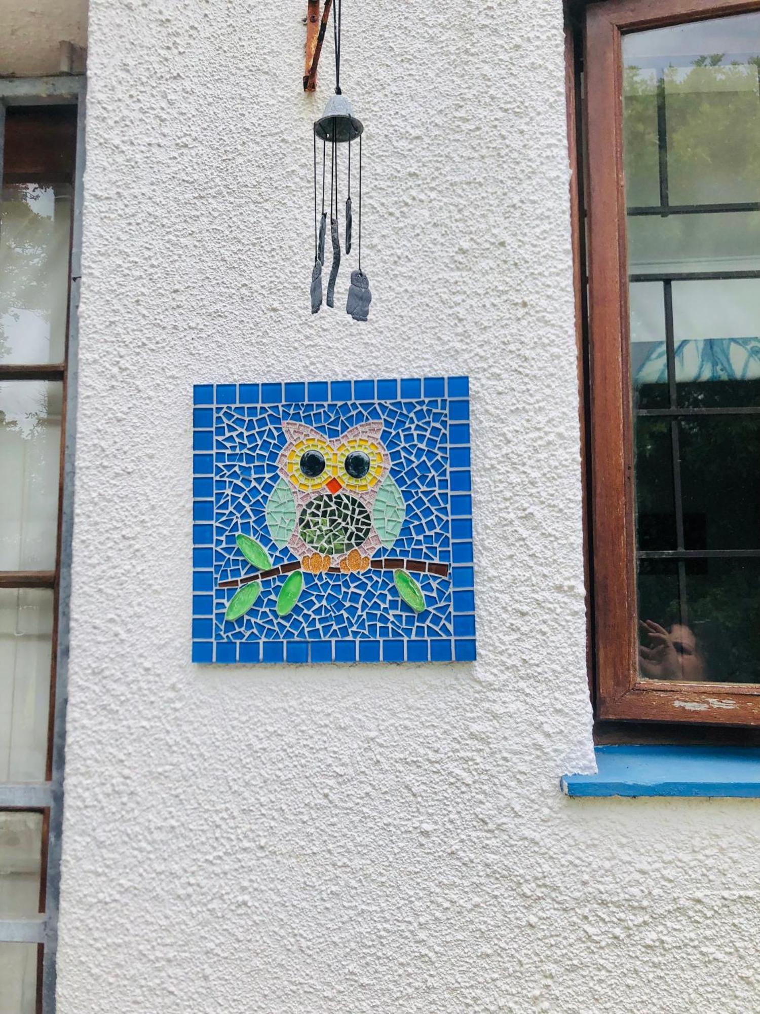 Apartment The Spotted Owl *