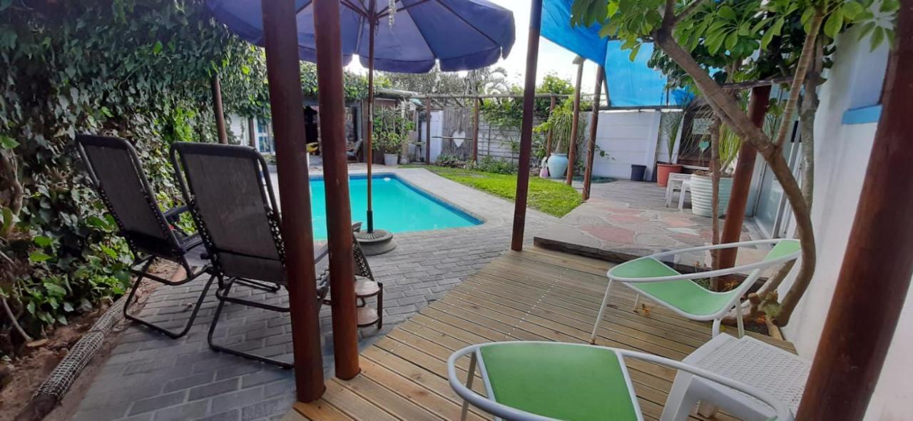 The Spotted Owl * Cape Town