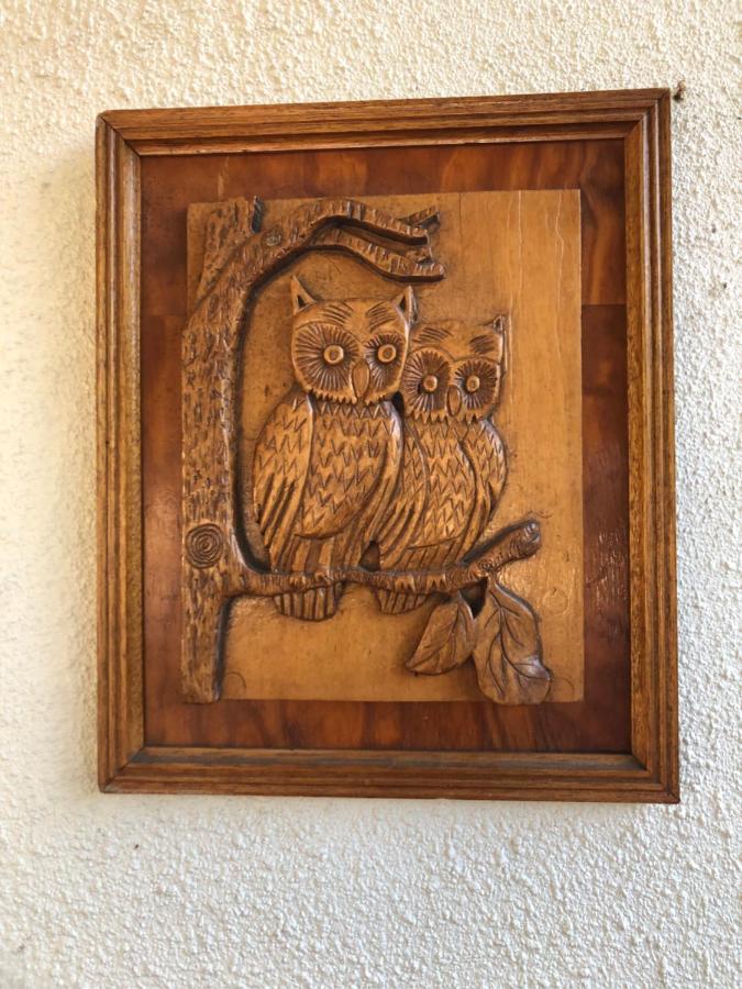 The Spotted Owl * Cape Town