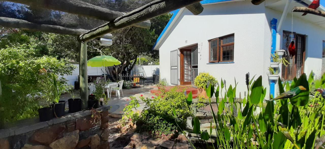 Apartment The Spotted Owl Cape Town